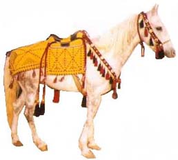 Arabic Horse saddles, horse accessories like horse bridles horse bits horse halters horse leaders, horse stirrups, horse girth. We have Leather horse saddles, Wool horse saddles, Velvet horse saddles, linen Saddles. Horse accessories are made of wool, cotton. Our horse saddles and accessories are hand made